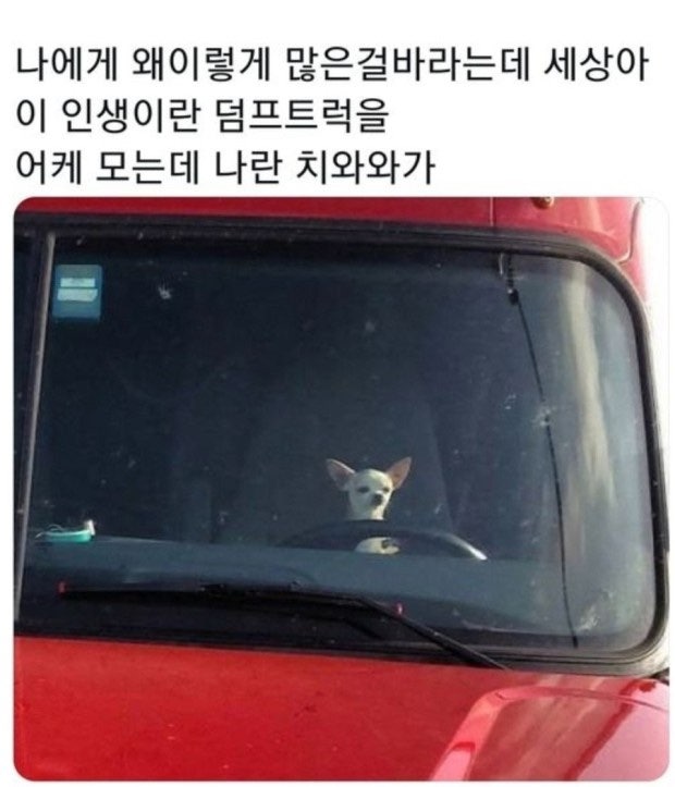 매일봄 이미지