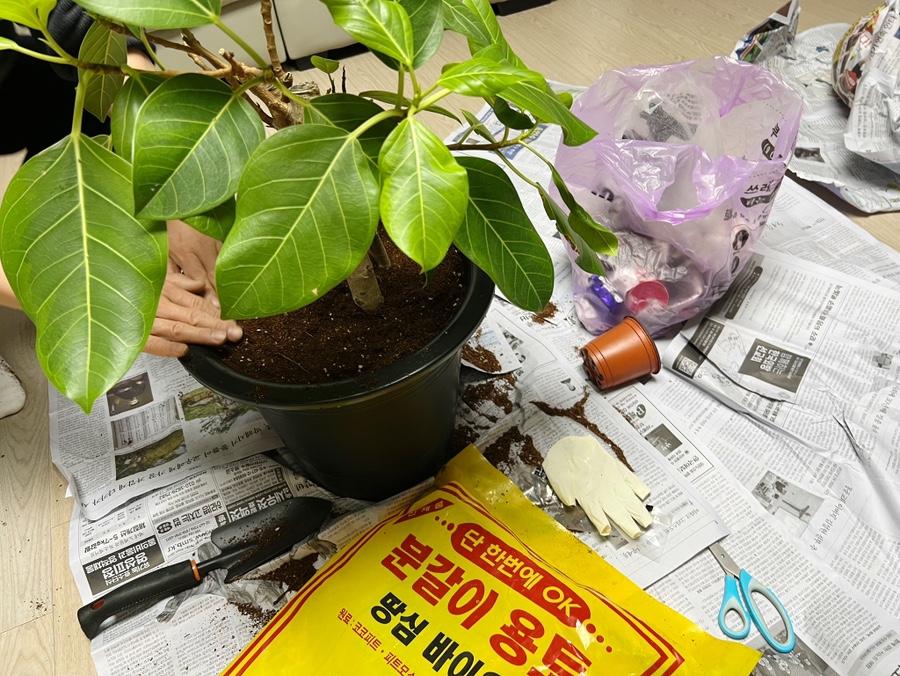 현우유통 이미지