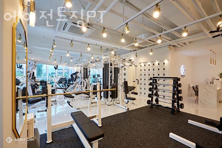 에이전트짐 이미지