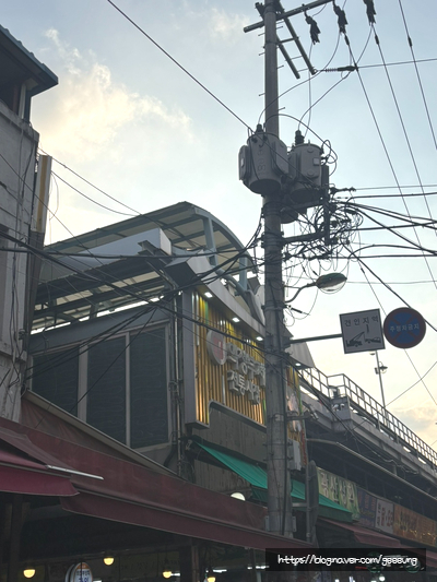 거북통닭 사진 6