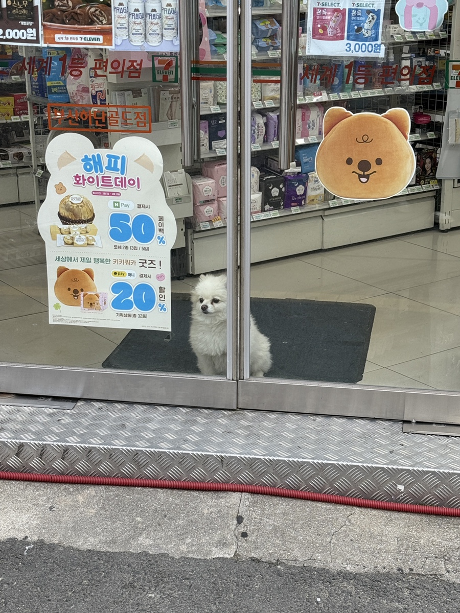 푸라닭부산장림점 이미지