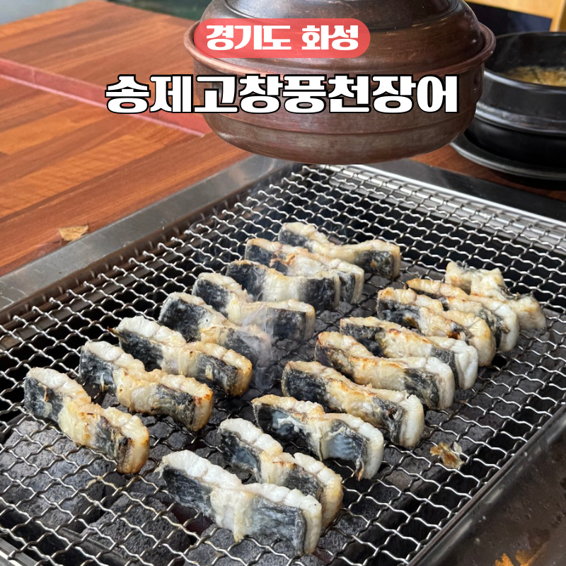 송제고창풍천장어 이미지