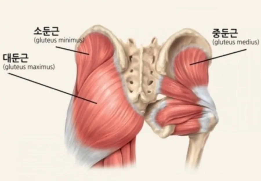 몬스터헬스 이미지
