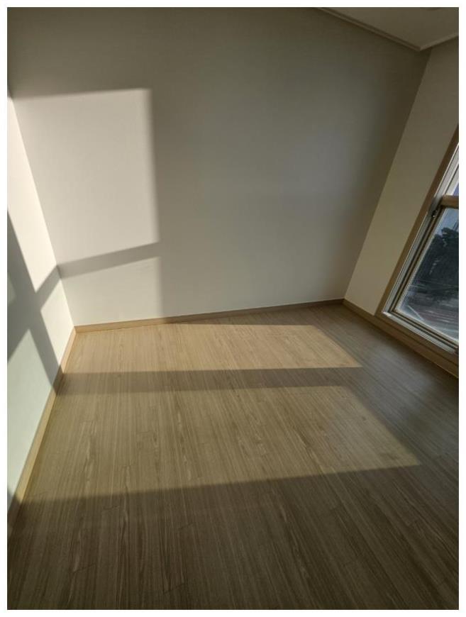 보라클린 이미지