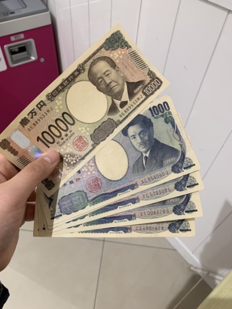 코코사 이미지