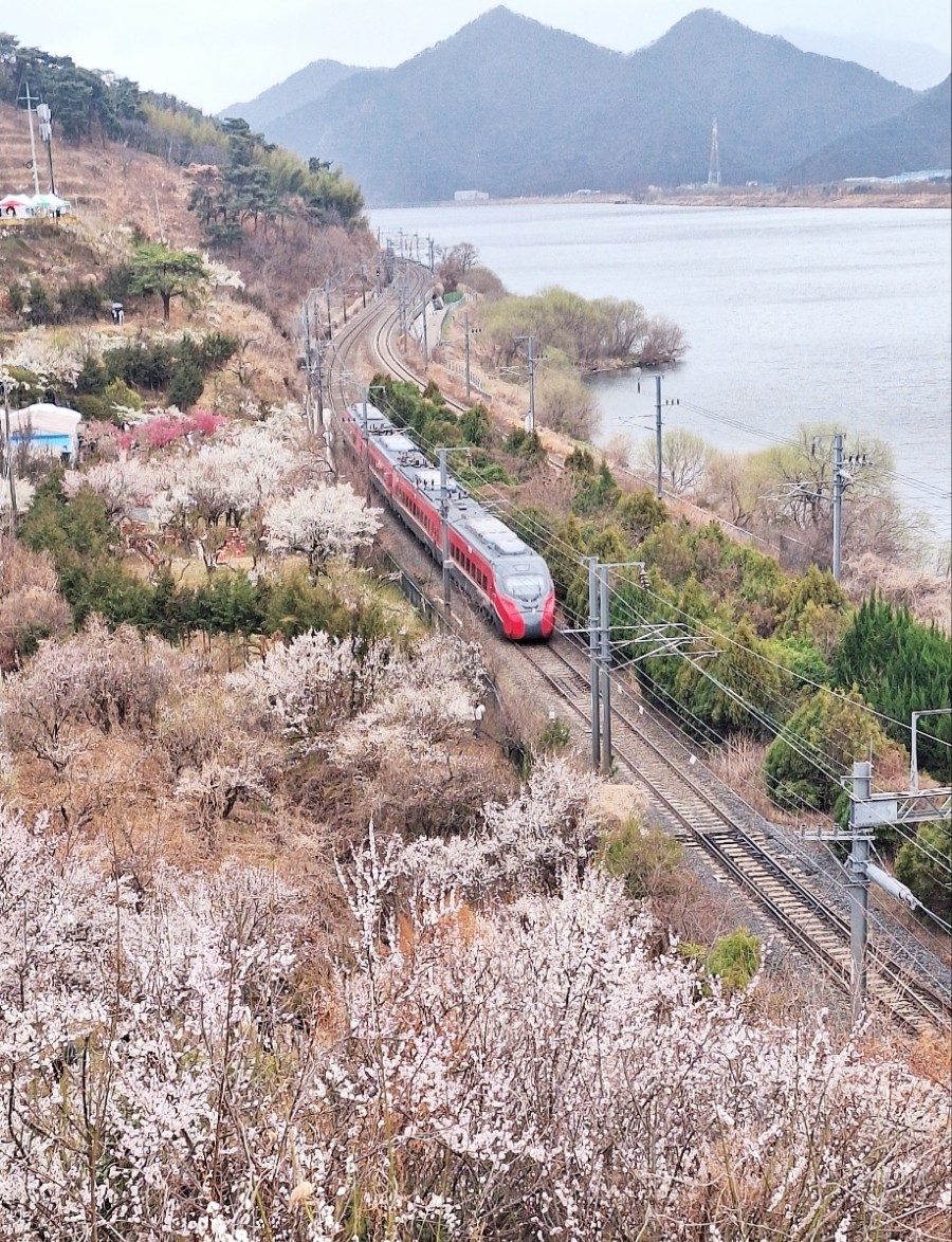 원동 이미지