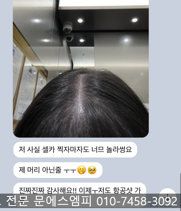염색팡팡 이미지