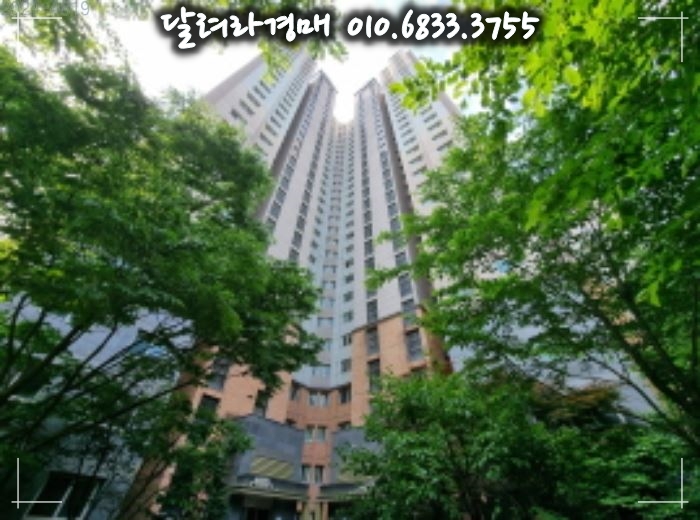 더포레스트 이미지