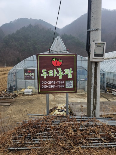 두타롱 이미지