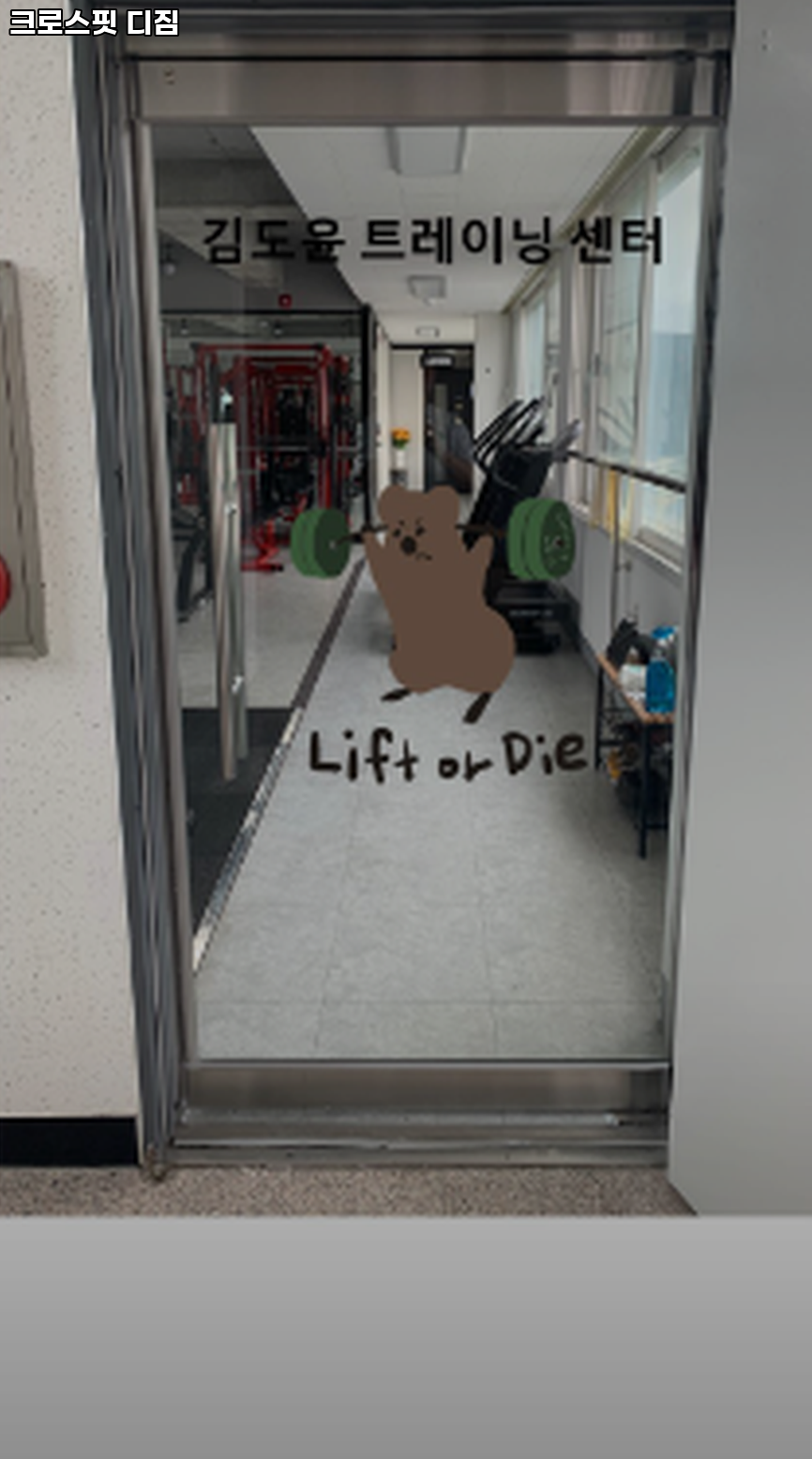 크로스핏디짐 이미지