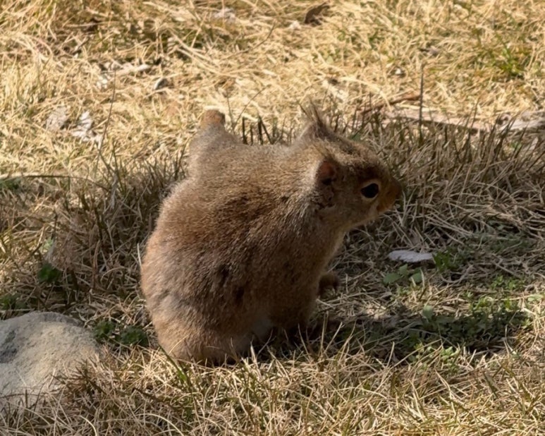 잘래 이미지