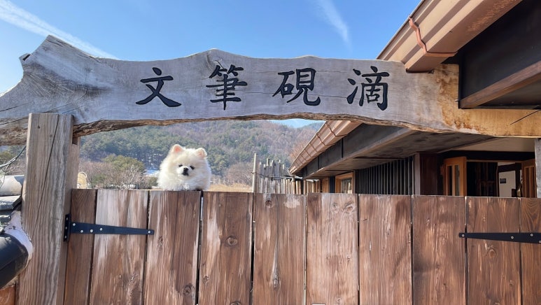 문필연적 이미지