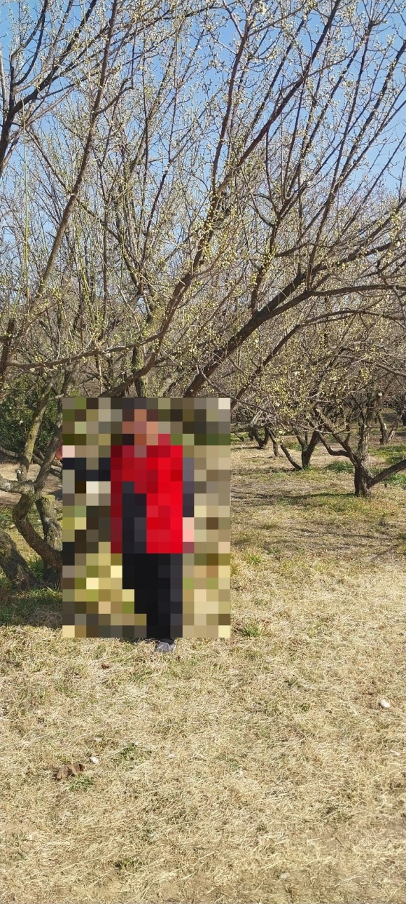 목화화원 이미지