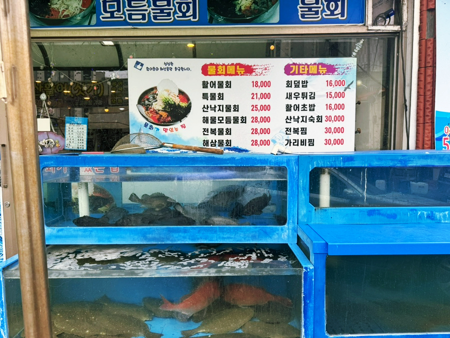 오늘도회떳다 이미지