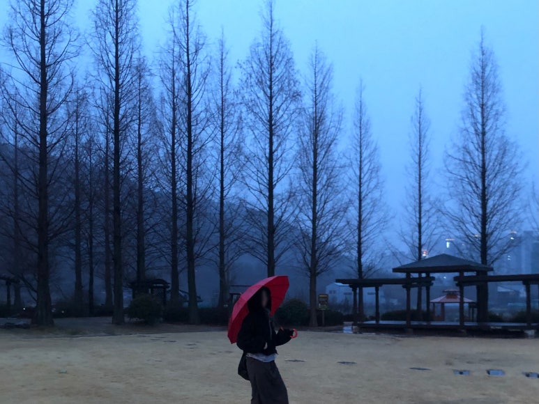 칠공이집 이미지