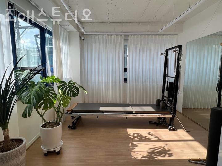 초애 이미지