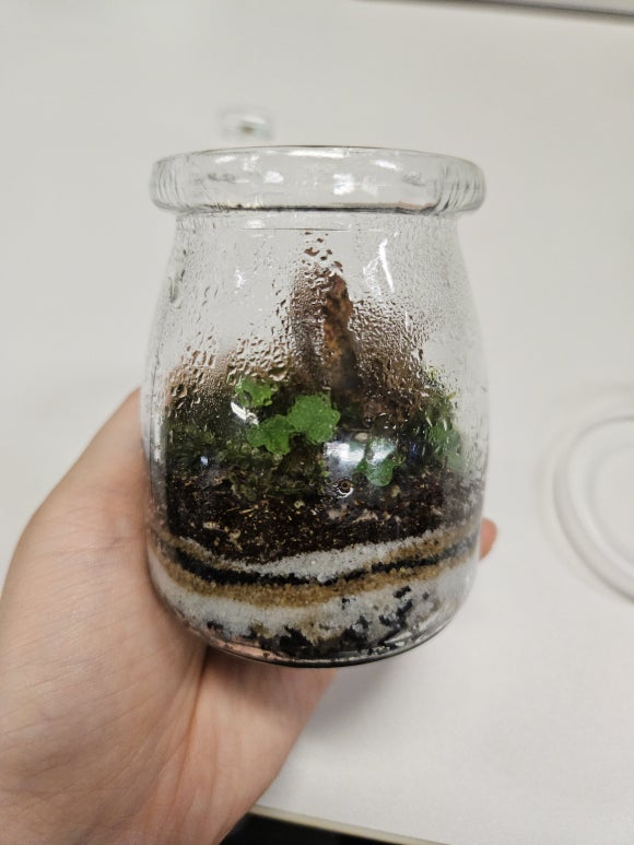 달리풀 이미지