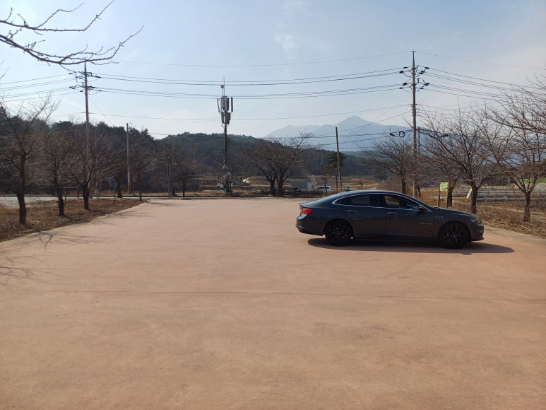 백구야놀자 이미지