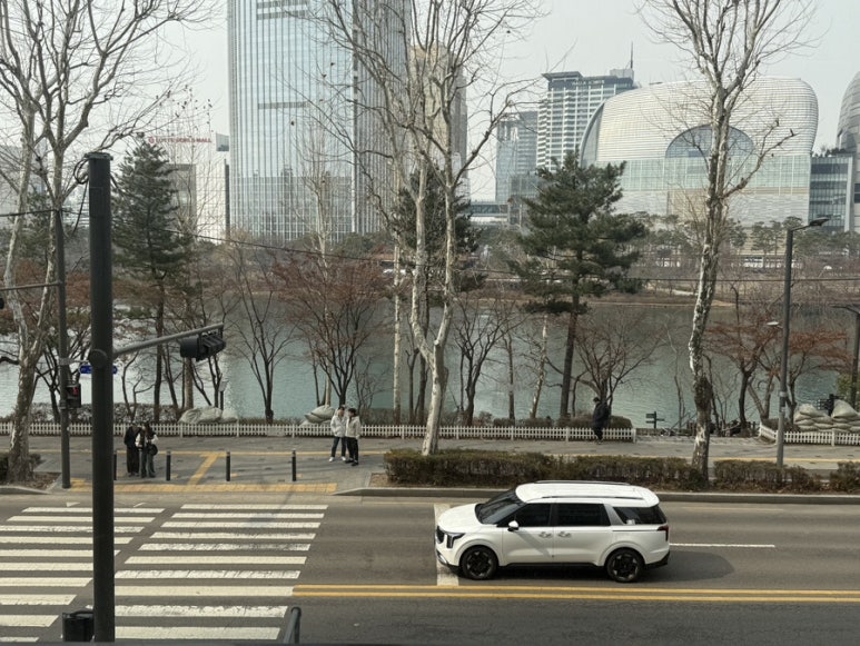 더마치헤어 이미지