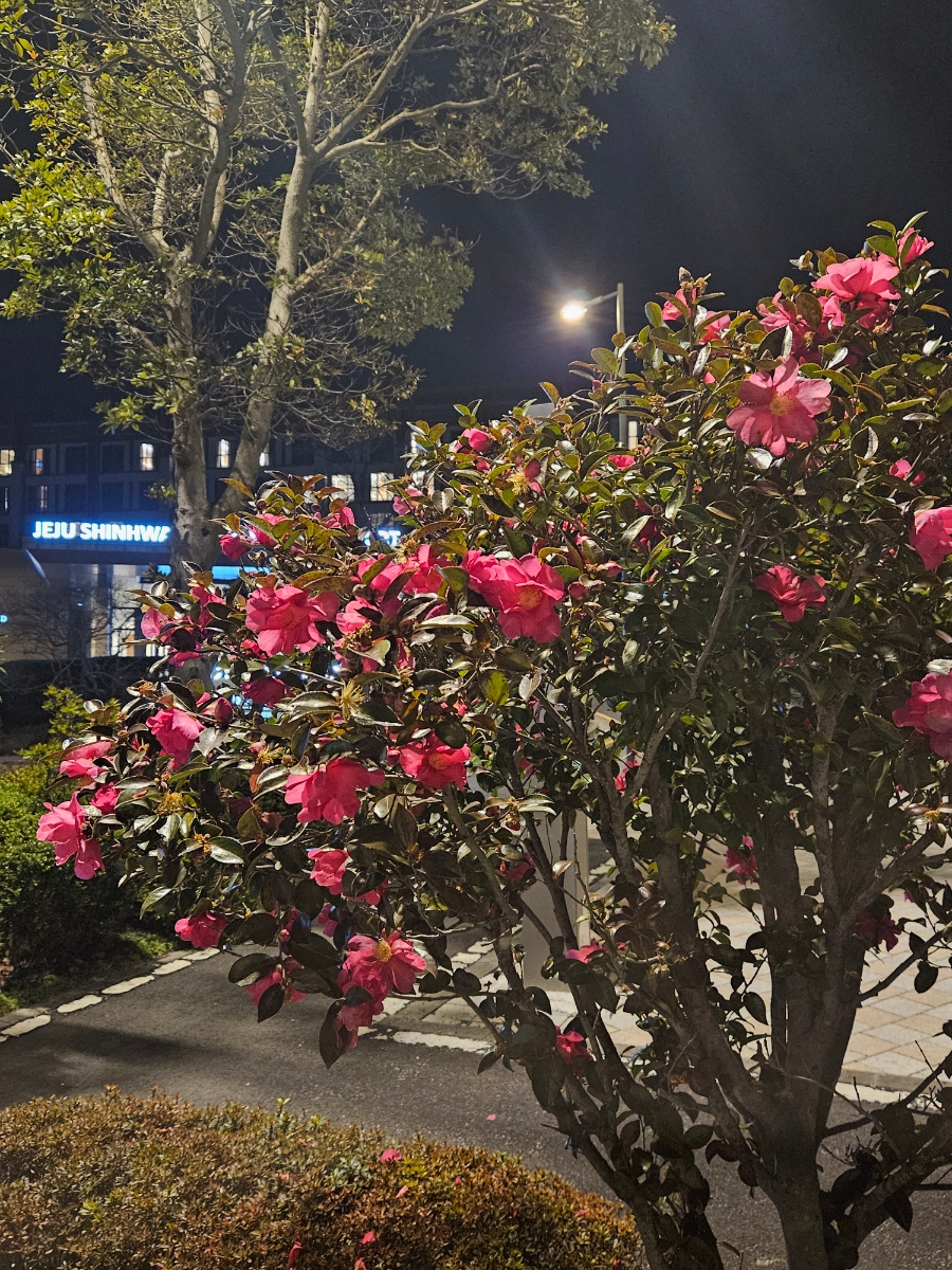 만배수산 이미지