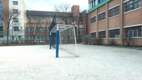 흥진중학교 이미지