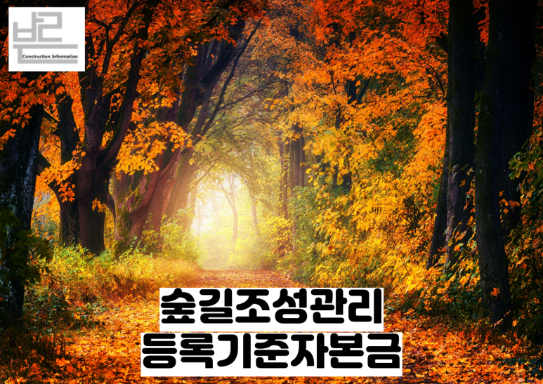 숲길법인 이미지