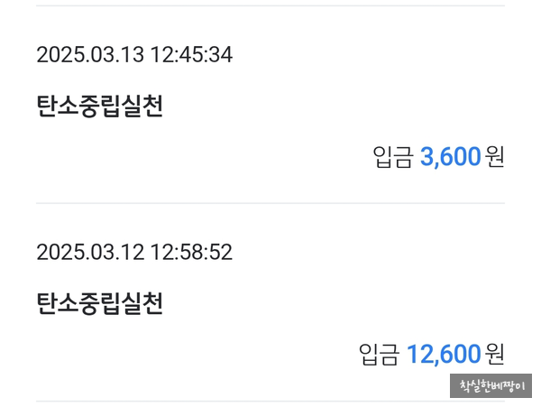 착실한베짱이 이미지