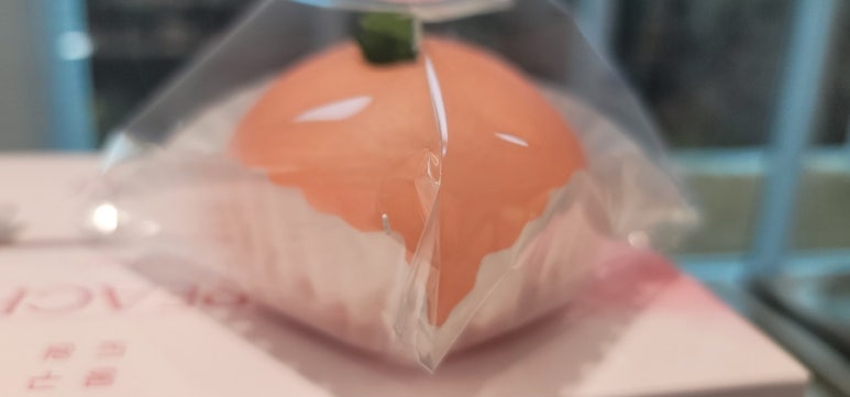 몽구도원 이미지