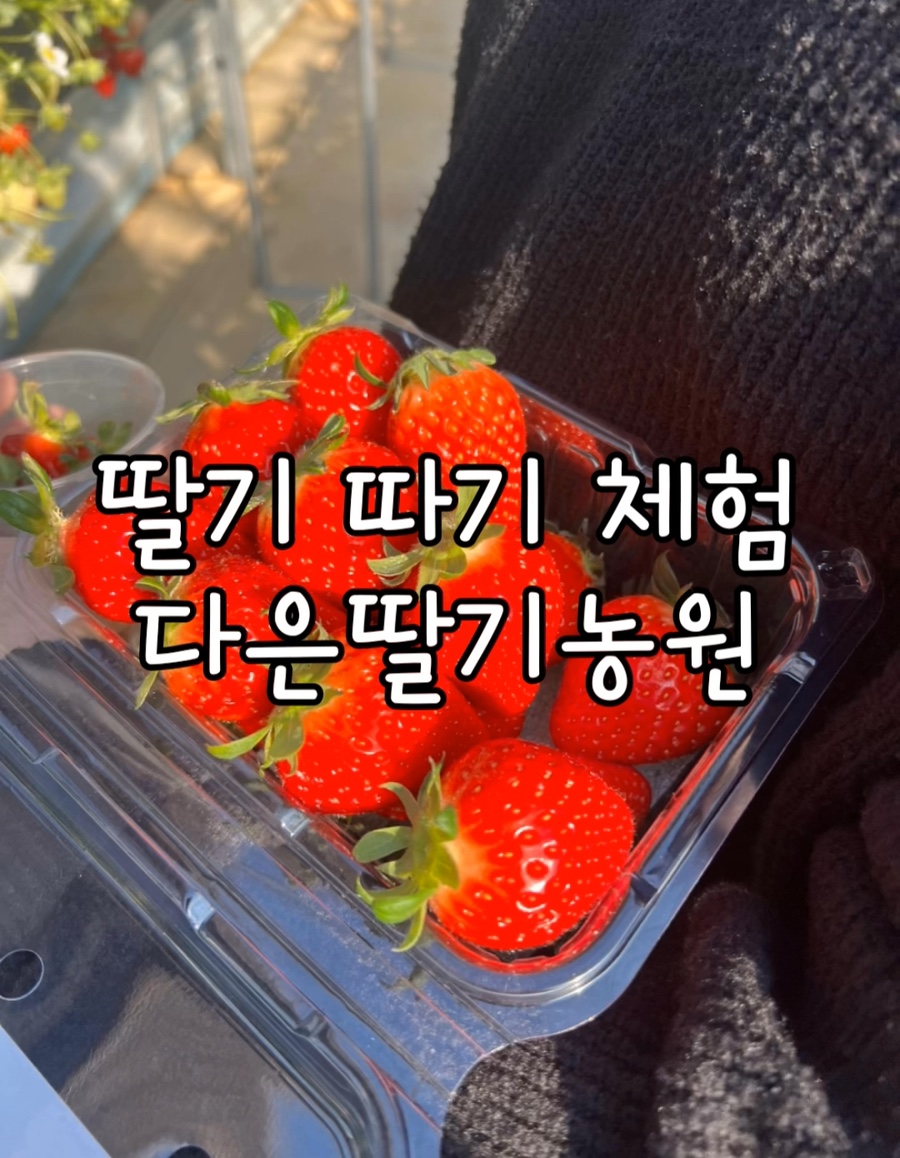 다은농원 이미지