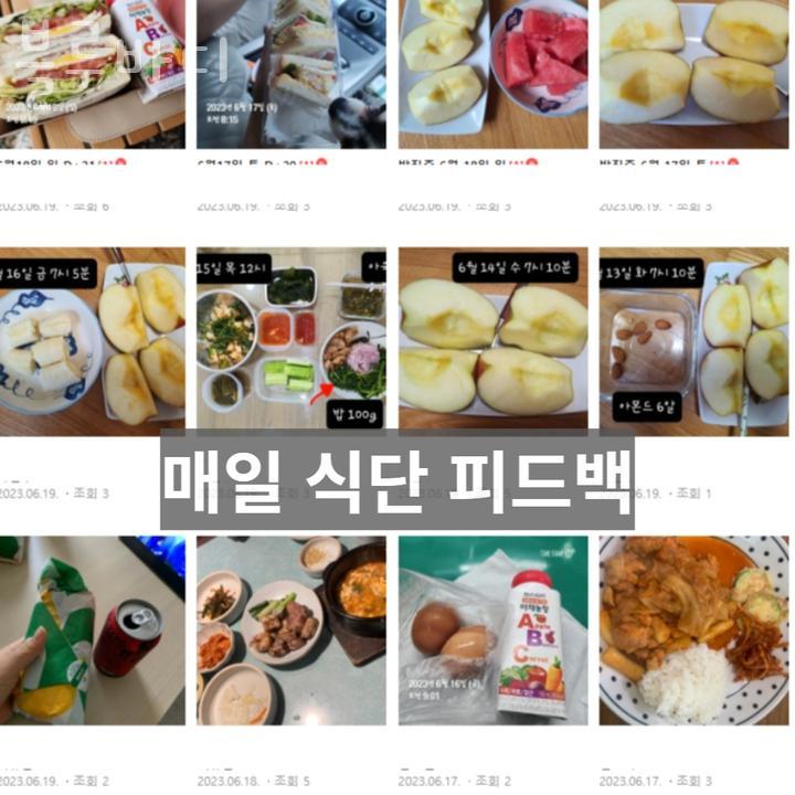 블루바디 이미지