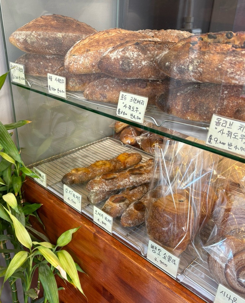 바게트 빌리지 이미지