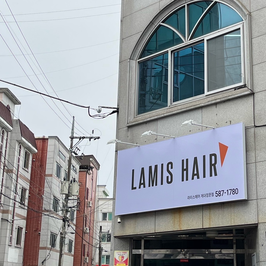 라미스헤어계대 이미지
