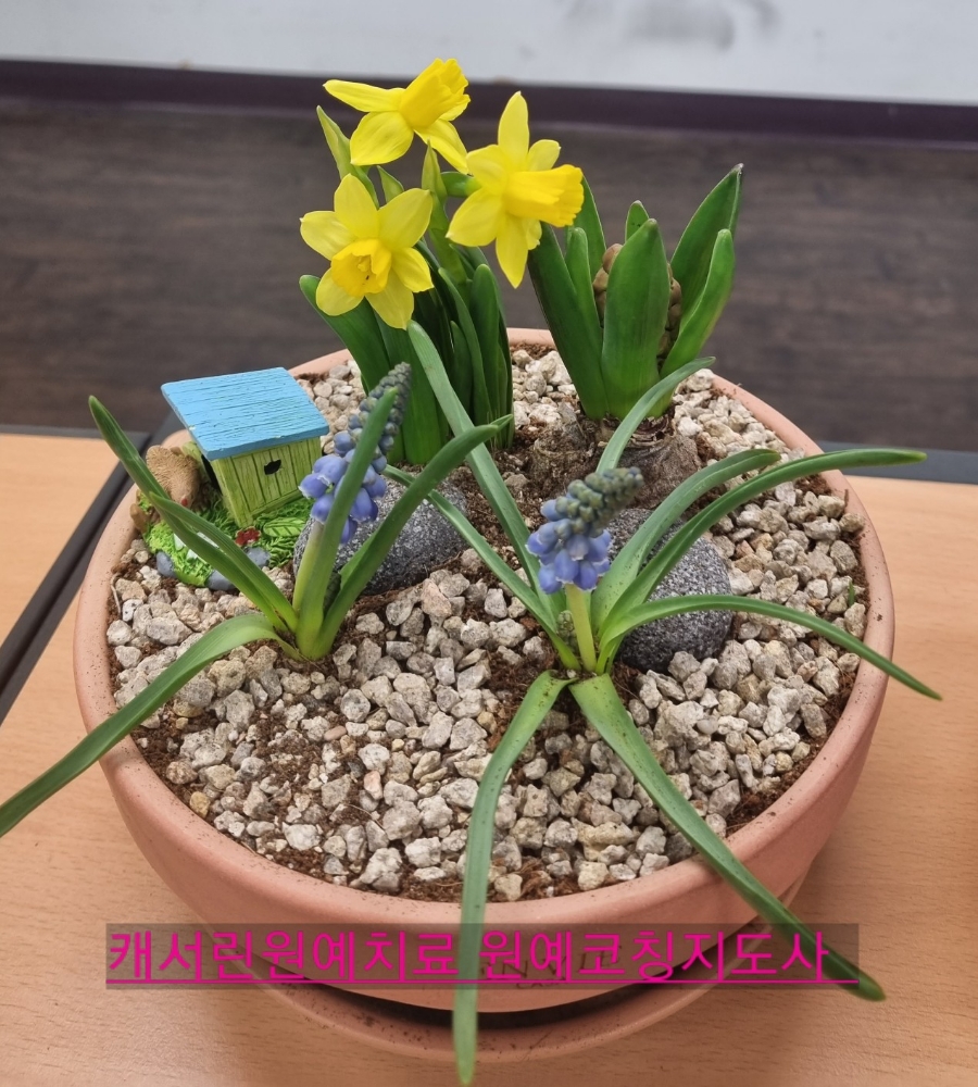 글로벌미래융합교육원 이미지