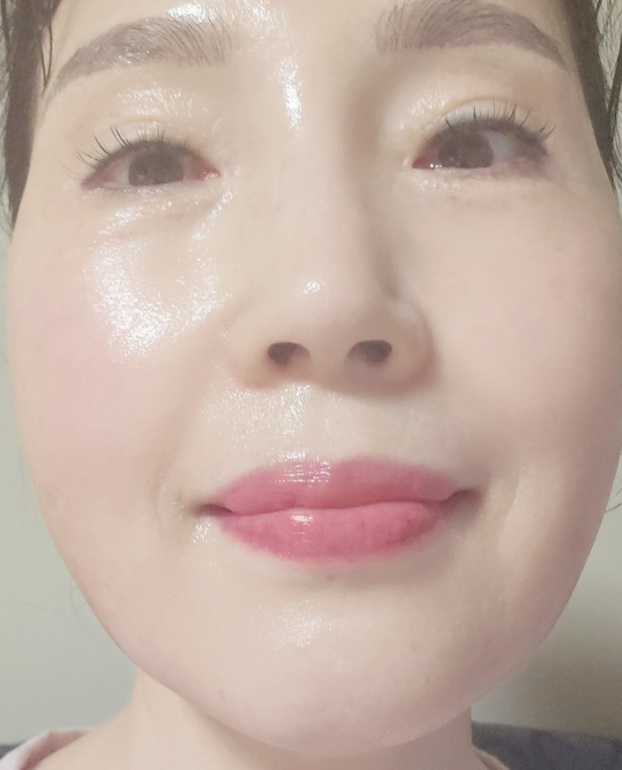 도노포레스타 이미지