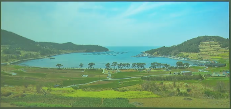 씨티신안산업 이미지
