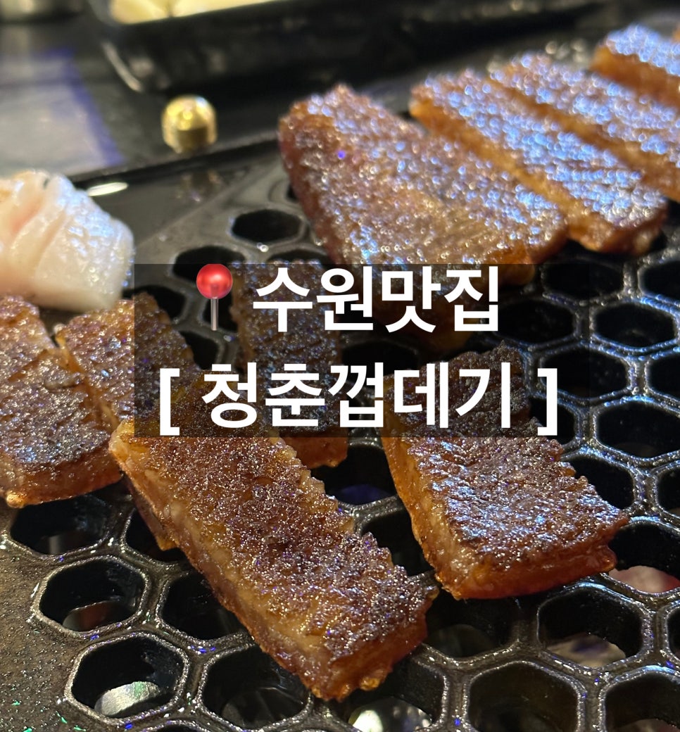 청춘껍데기수원 이미지