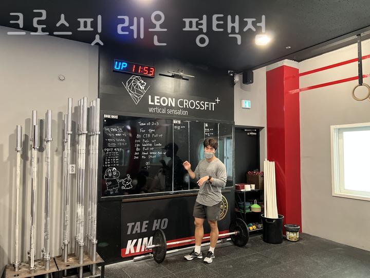 크로스핏레온 이미지