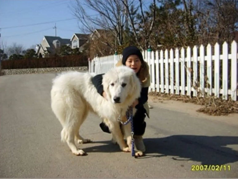 영우 이미지