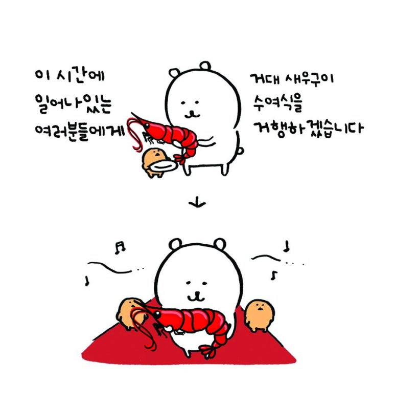 독도꽃새우 이미지