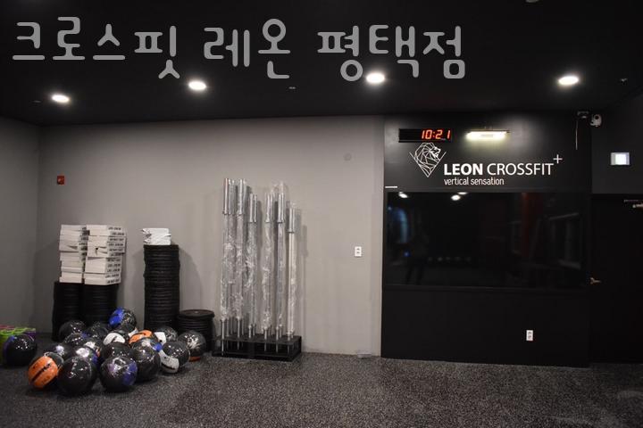 크로스핏레온 이미지