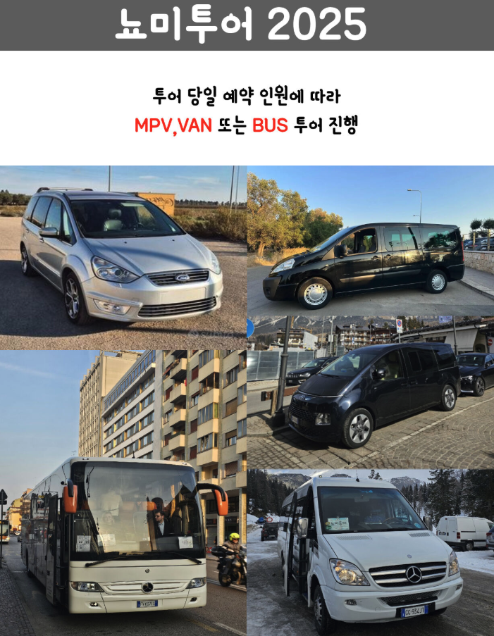 뇨미투어 이미지