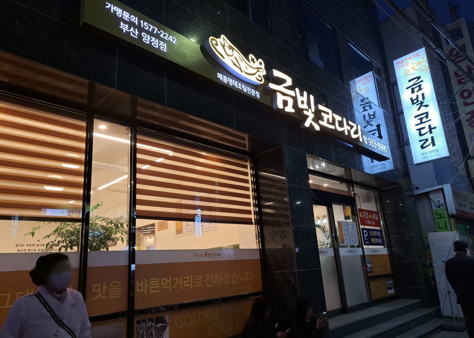 금빛코다리 이미지
