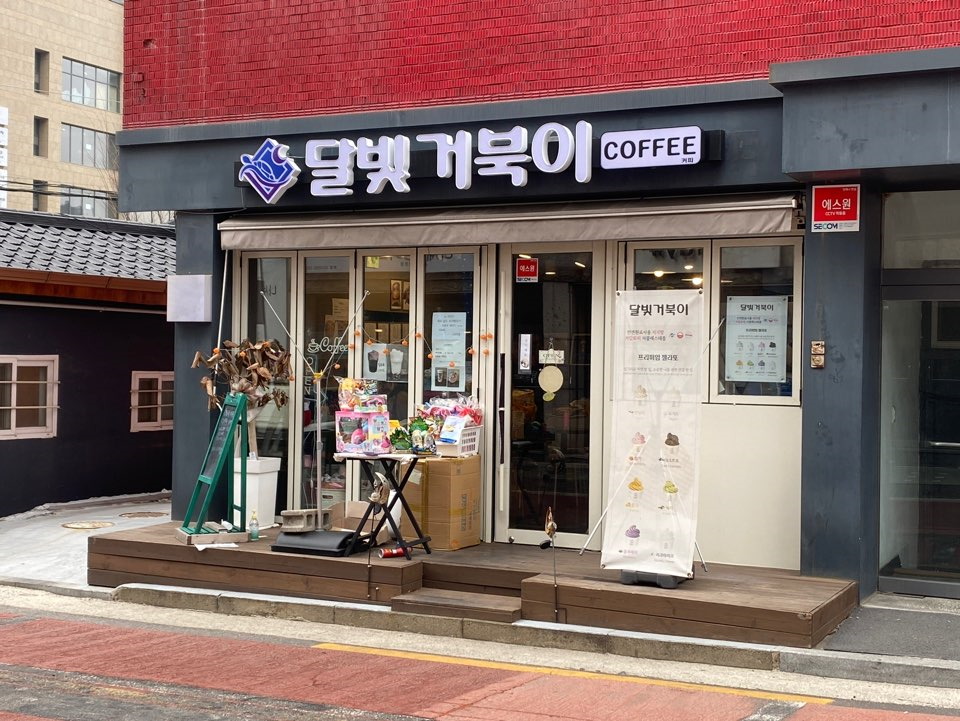 달빛 거북이 이미지
