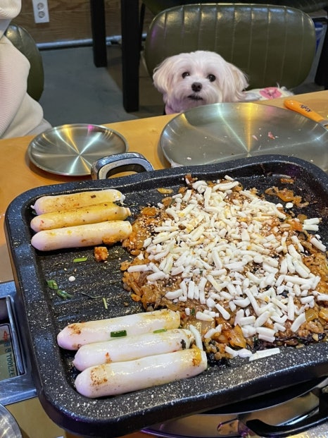 홍길돈 이미지