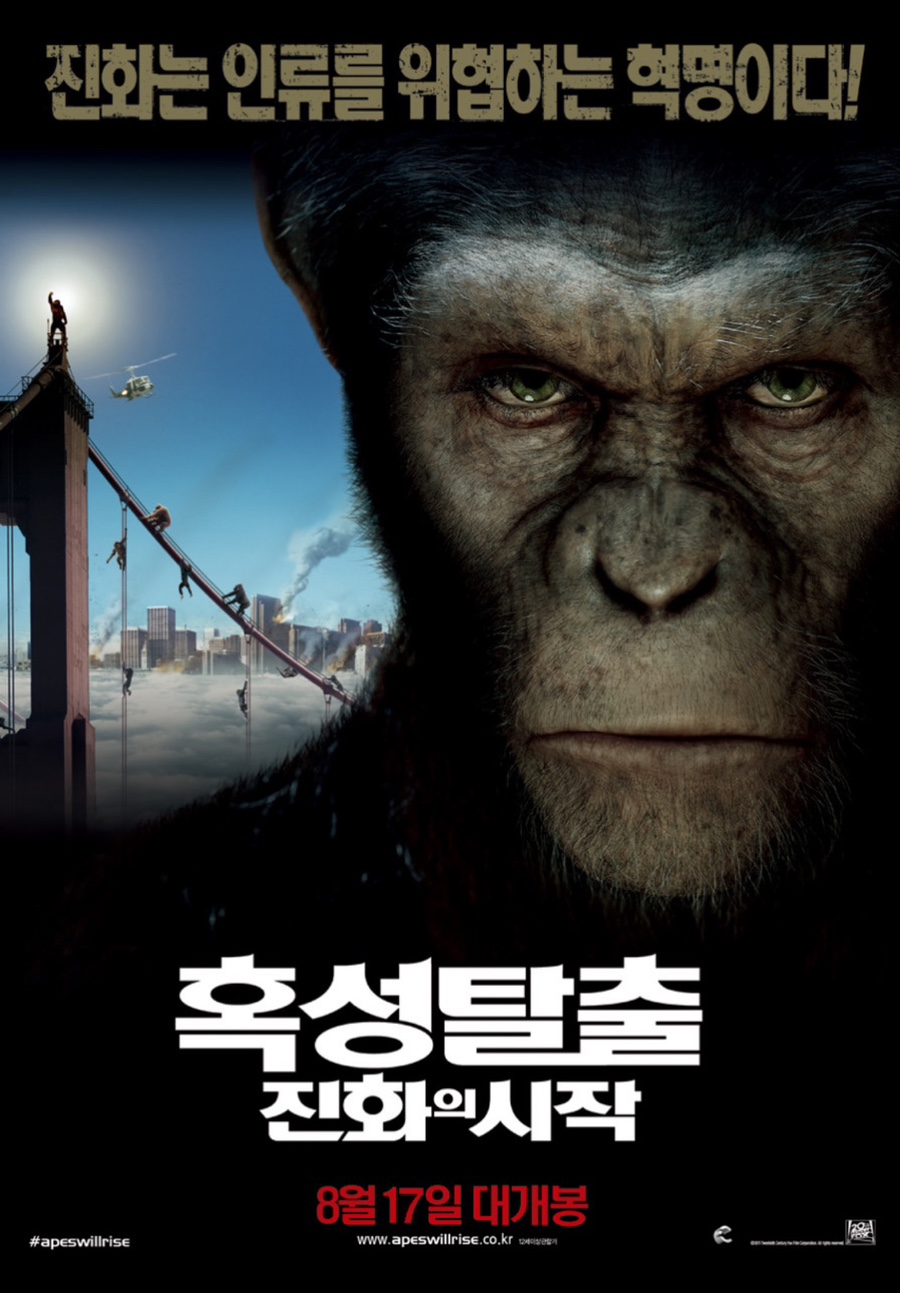 화이트웨일 이미지