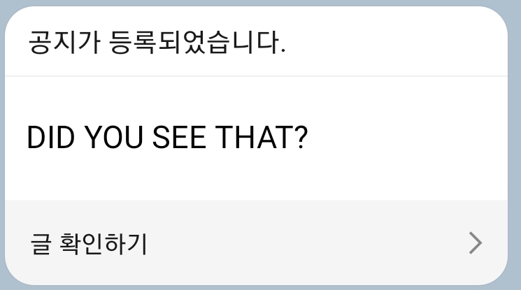 디쥬씨댓 이미지