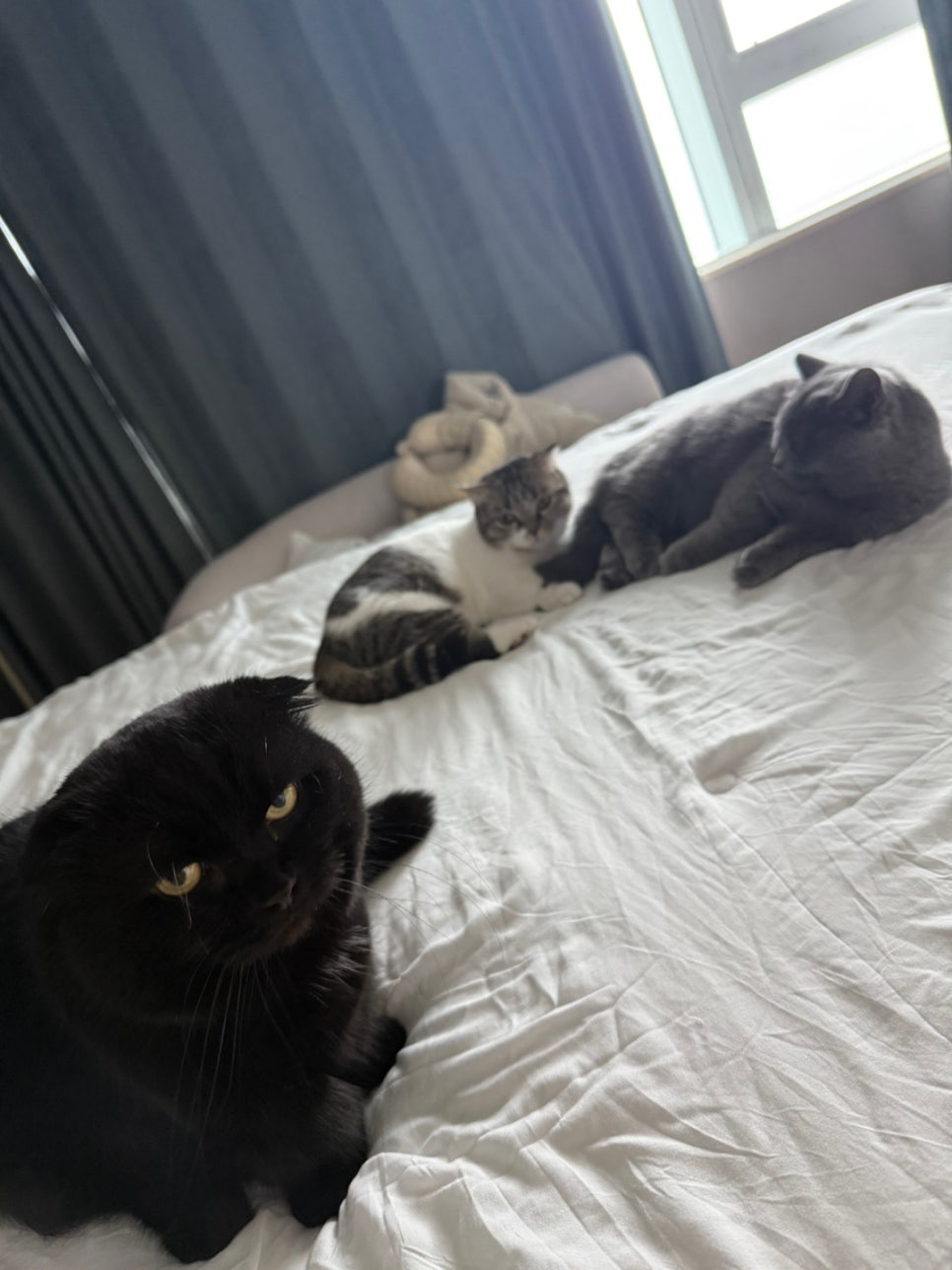오복의류 이미지