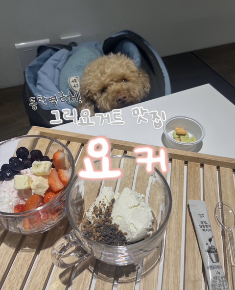 요커동탄 이미지