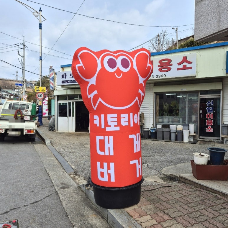 키토리아 이미지