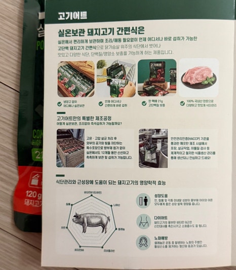고기어트 이미지